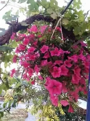 Appartamento Seaside Deluxe Skála Kallirákhis